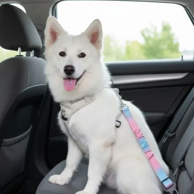 Ceinture de sécurité pour chien • Ceinture JappyVoyage™: Longueur ajustable