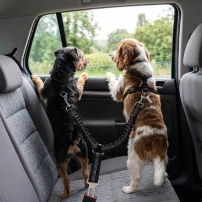 Ceinture de sécurité pour chien | Jappy PatteSafe™ - Jappy Toutou