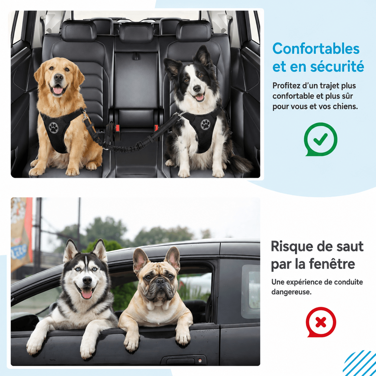 Ceinture de sécurité pour chien | Jappy PatteSafe™ - Jappy Toutou