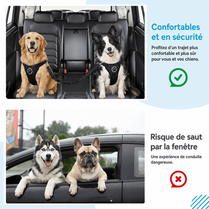 Ceinture de sécurité pour chien | Jappy PatteSafe™ - Jappy Toutou