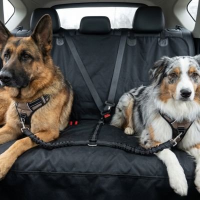 Ceinture de sécurité pour chien • Jappy PatteSafe ™ : Compatibilité boucle de sécurité