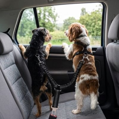 Ceinture de sécurité pour chien • Jappy PatteSafe ™ :  Prévention des distractions