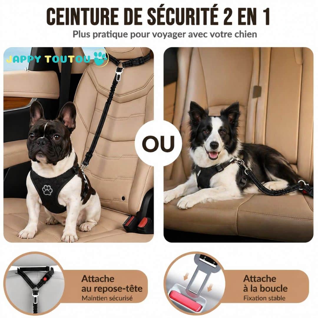 Ceinture de sécurité pour chien | JappyClip & Go™ - Jappy Toutou