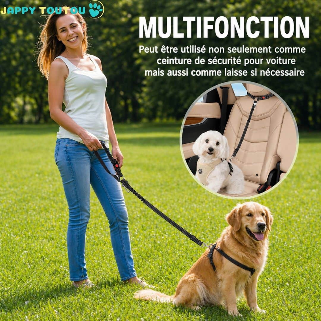 Ceinture de sécurité pour chien | JappyClip & Go™ - Jappy Toutou