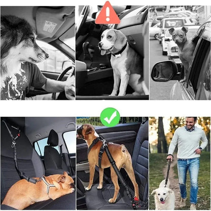 Ceinture de sécurité pour chien | JappyClip & Go™ - Jappy Toutou
