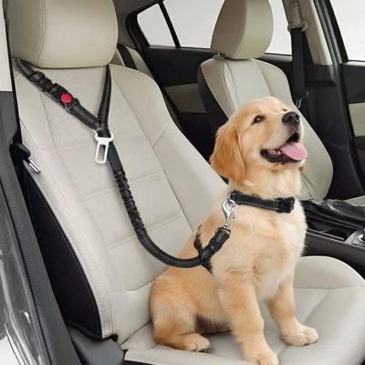 Ceinture de sécurité pour chien • JappyClip & Go™ : Attache universelle sur ceinture de sécurité