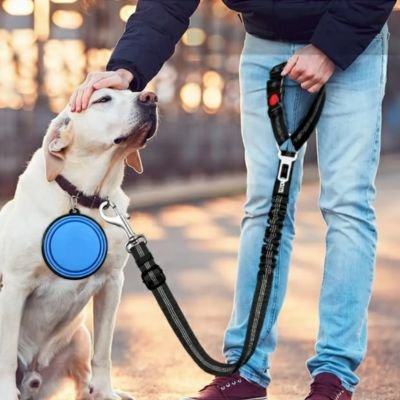 Ceinture de sécurité pour chien • JappyClip & Go™ : Système double laisse et ceinture de sécurité