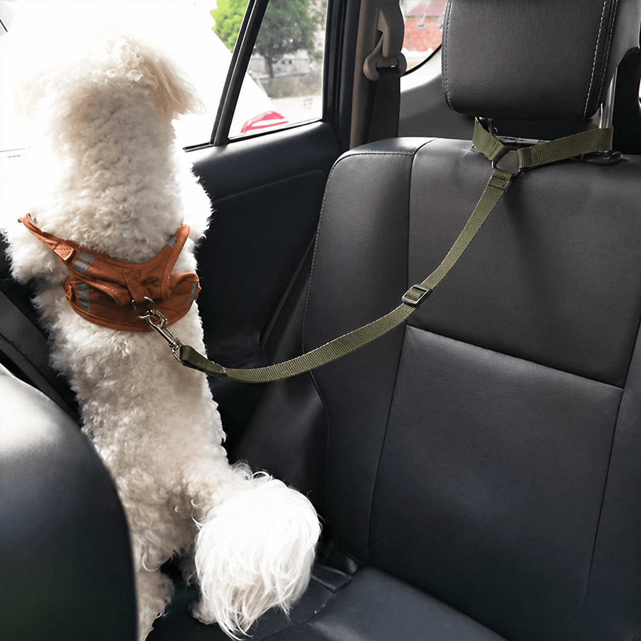 Ceinture de sécurité pour chien | JappyRouteSerein™ - Jappy Toutou