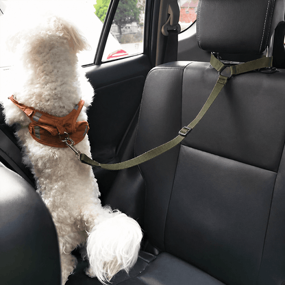 Ceinture de sécurité pour chien | JappyRouteSerein™ - Jappy Toutou