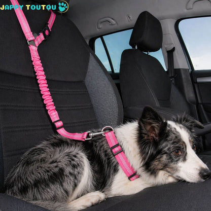 Ceinture de sécurité pour chien | JappySafe2™. - Jappy Toutou