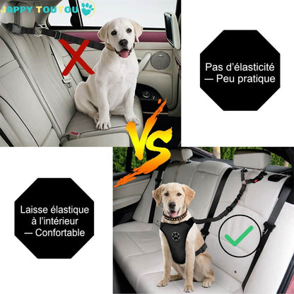 Ceinture de sécurité pour chien | JappySafe2™. - Jappy Toutou