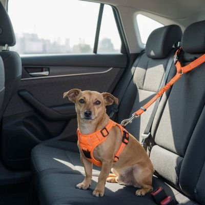 Ceinture de sécurité pour chien | JappySafe2™ : Matériau résistant et durable: