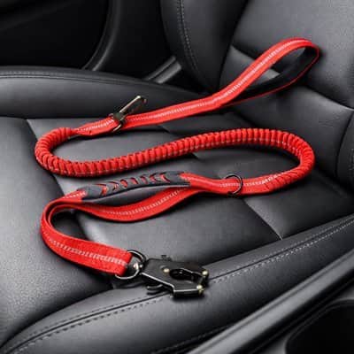 Ceinture de sécurité pour chien | JappySécureBalade™ - Jappy Toutou