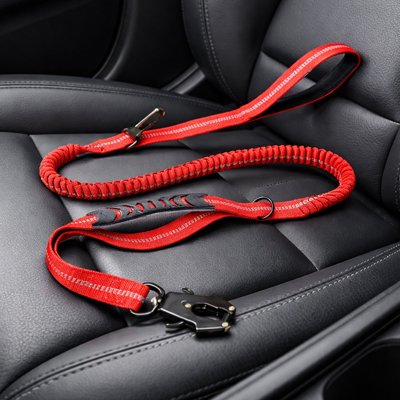 Ceinture de sécurité pour chien | JappySécureBalade™ : Fixation universelle