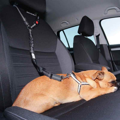 Ceinture de sécurité pour chien | JappyToutouSafe™ - Jappy Toutou