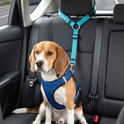 Ceinture de sécurité pour chien • JappyTrajet Serein™ : Disponible en plusieurs coloris