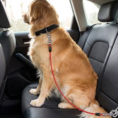 Ceinture de sécurité pour chien • Sangle Auto JappySérénité™ :  Matériaux résistant 