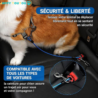 Ceinture de sécurité pour chien | Sangle Auto JappySérénité™ - Jappy Toutou