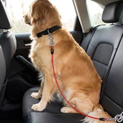 Ceinture de sécurité pour chien | Sangle Auto JappySérénité™ - Jappy Toutou