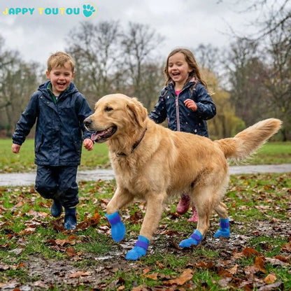 chaussure chien | Chaussure Chien • JappyProtect™ Confort - Jappy Toutou