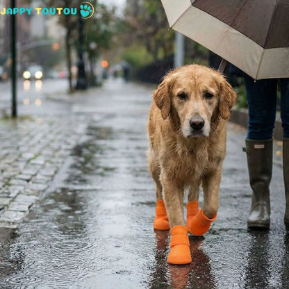 chaussure chien | Chaussure Chien • JappyProtect™ Confort - Jappy Toutou