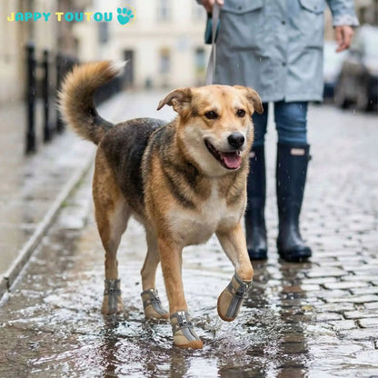 chaussure chien | JappyGoWalk™ - Jappy Toutou