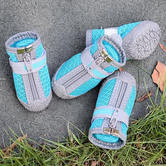 chaussure chien • JappyWalk™ : Protection intégrale