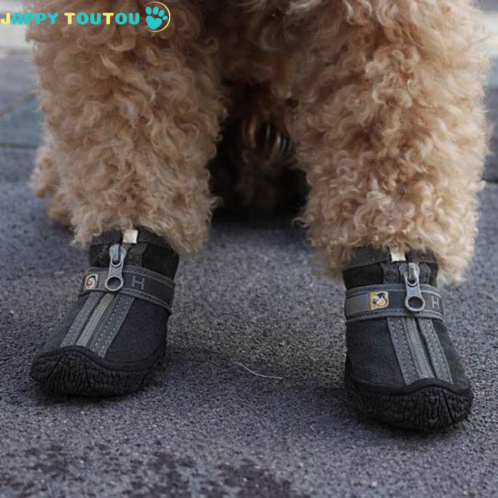 chaussure chien | JappyWalk™ résistantes - Jappy Toutou