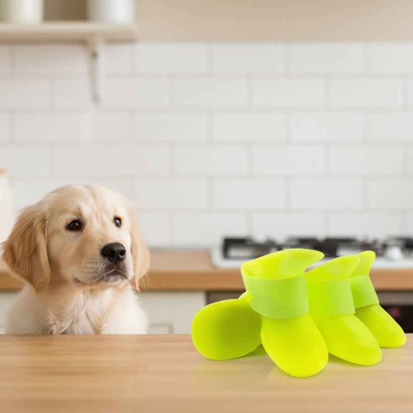 chaussure chien • JappyProtect™ : prêt à partir