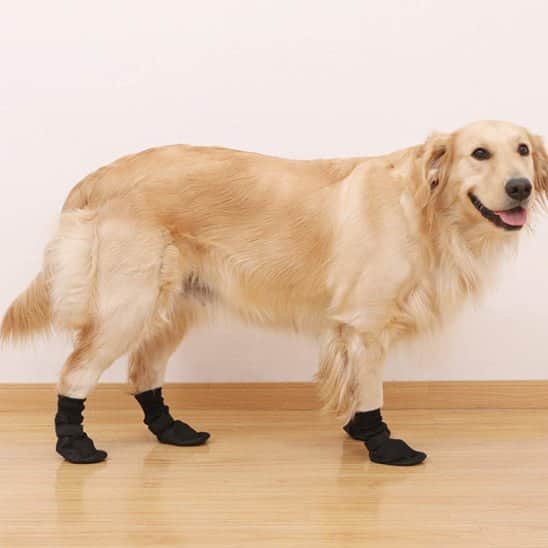 Chaussures chien | Confort PawSoft™ - Jappy Toutou