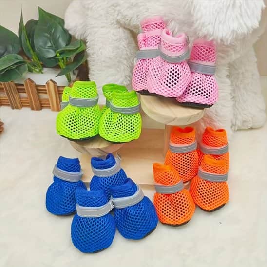 Chaussures chien​​ • Urbaine JappyCity™ : Coloris variés