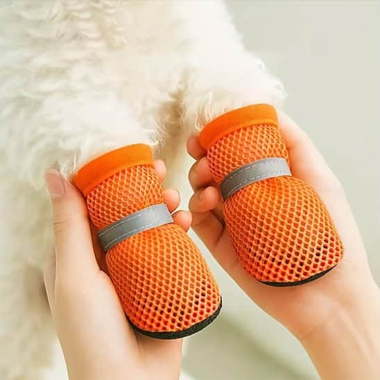 Chaussures chien​​ • Urbaine JappyCity™ : Fermeture ajustable
