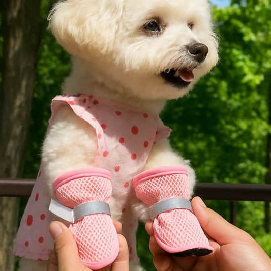 Chaussures chien​ • Urbaine JappyCity™ : Matière respirante