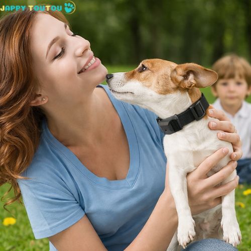 Collier anti aboiement petit chien | AntiBark™ - Jappy Toutou
