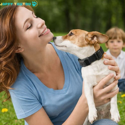 Collier anti aboiement petit chien | AntiBark™ - Jappy Toutou