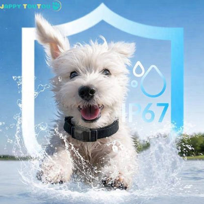 Collier anti aboiement petit chien | AntiBark™ - Jappy Toutou