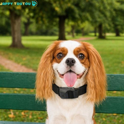 Collier anti aboiement petit chien | AntiBark™ - Jappy Toutou