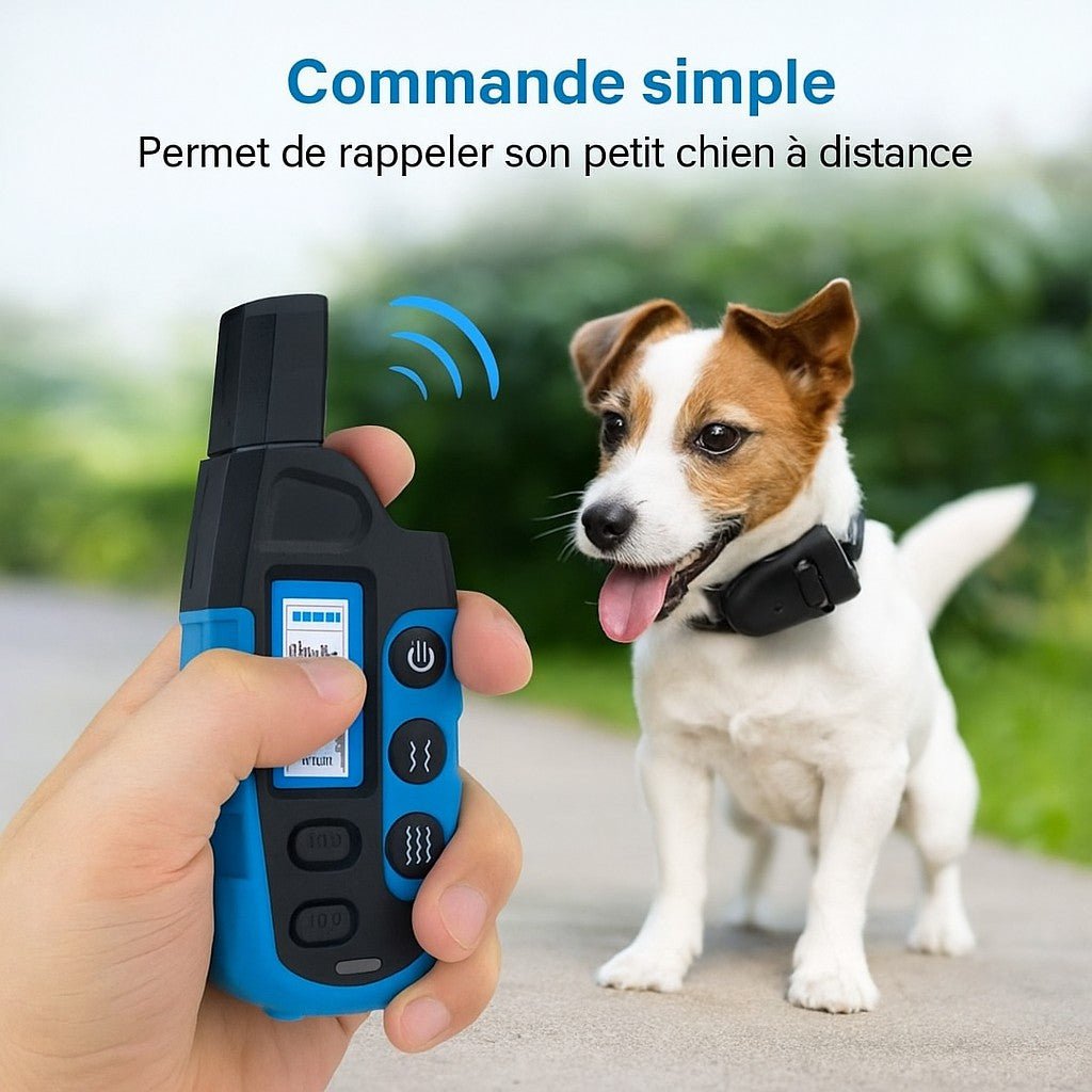 Collier anti aboiement petit chien/ WoufSecur™ - Sans choc - Jappy Toutou