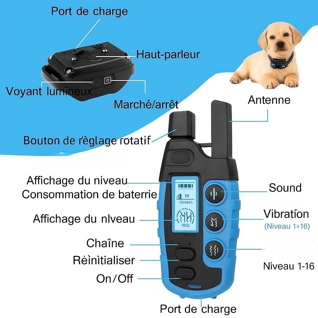 Collier anti aboiement petit chien/ WoufSecur™ - Sans choc - Jappy Toutou