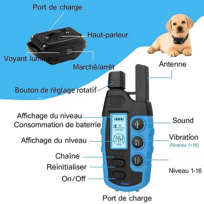 Collier anti aboiement petit chien/ WoufSecur™ - Sans choc - Jappy Toutou