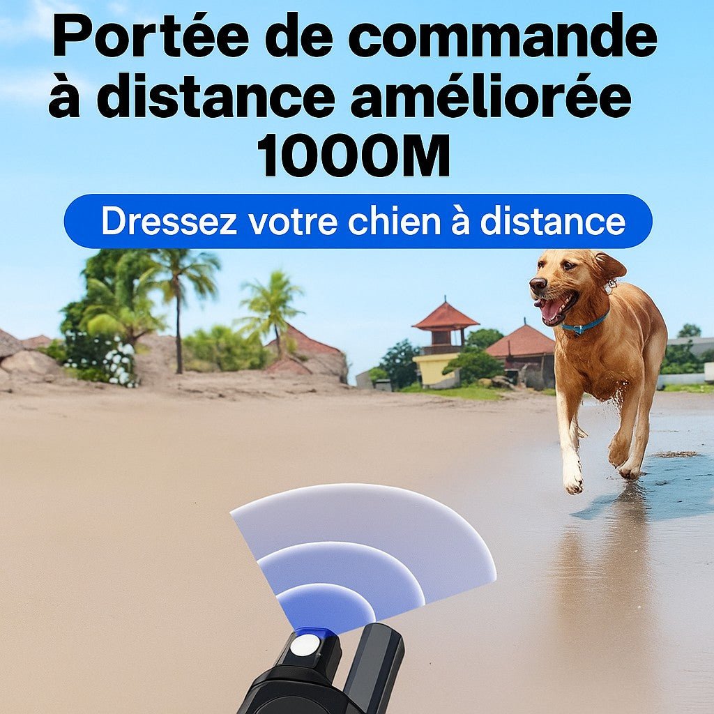 Collier anti aboiement petit chien/ WoufSecur™ - Sans choc - Jappy Toutou