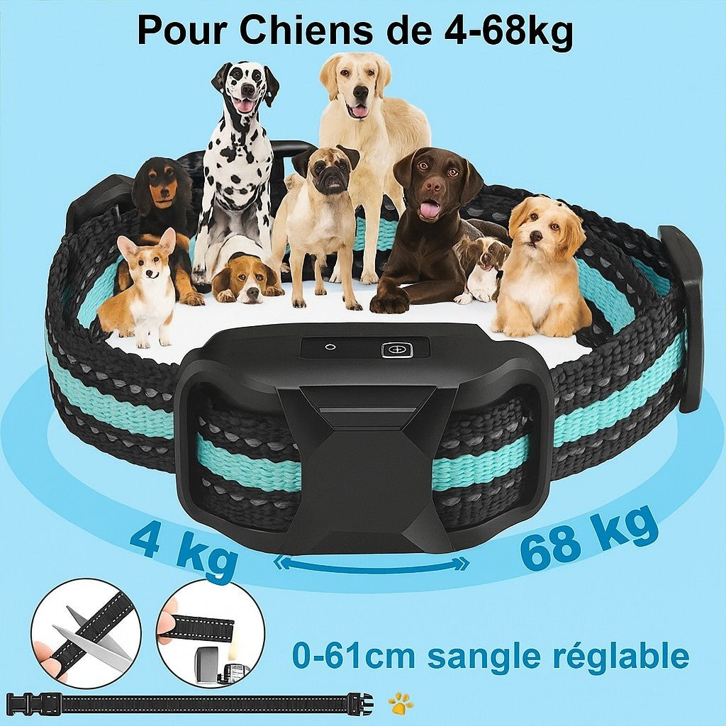 Collier anti aboiement petit chien / WoufSecur™ - Sans choc - Jappy Toutou