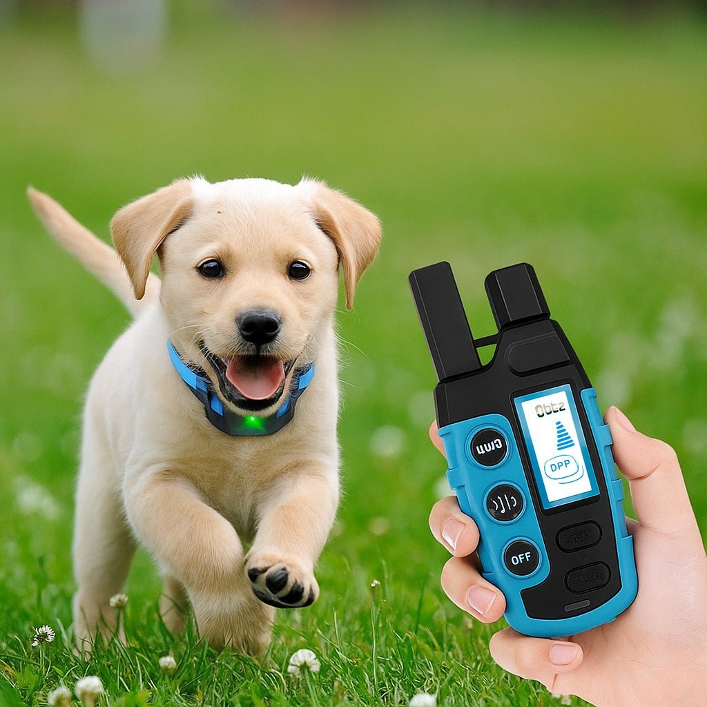 Collier anti aboiement petit chien / WoufSecur™ - Sans choc - Jappy Toutou