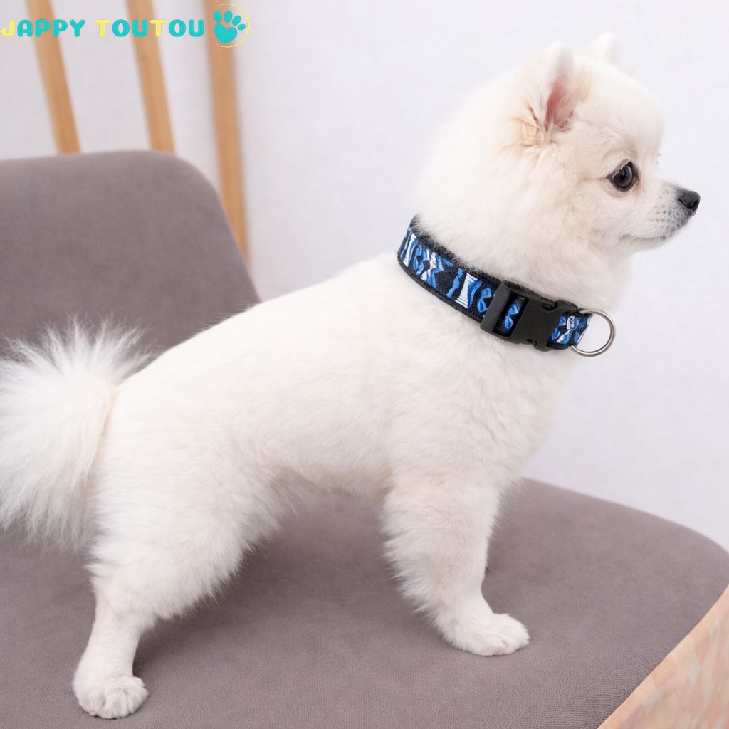 Collier Chien | Coloré • Jappy2Classic™ - Jappy Toutou