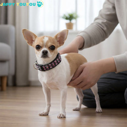 Collier Chien | Coloré • Jappy2Classic™ - Jappy Toutou
