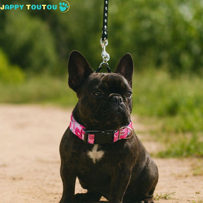 Collier Chien | Coloré • Jappy2Classic™ - Jappy Toutou