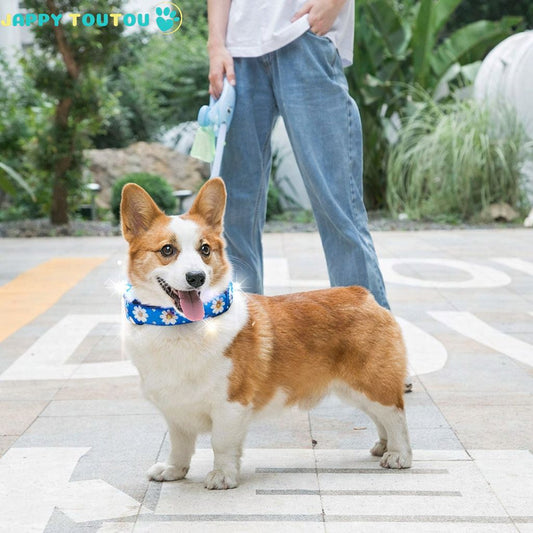 Collier Chien | Coloré • Jappy2Classic™ - Jappy Toutou