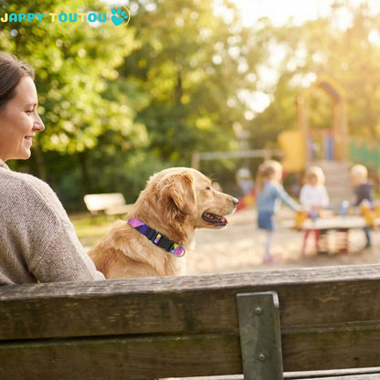 Collier Chien | confort coloré • Jappy4Classic™ - Jappy Toutou