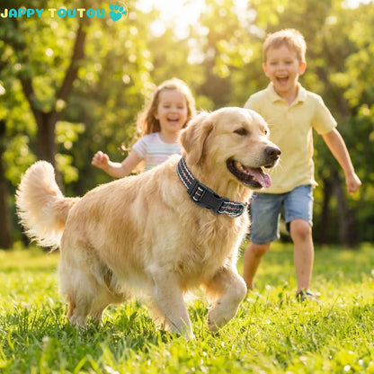 Collier Chien | confort coloré • Jappy4Classic™ - Jappy Toutou
