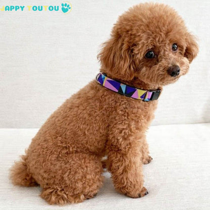 Collier Chien | confort coloré • Jappy4Classic™ - Jappy Toutou